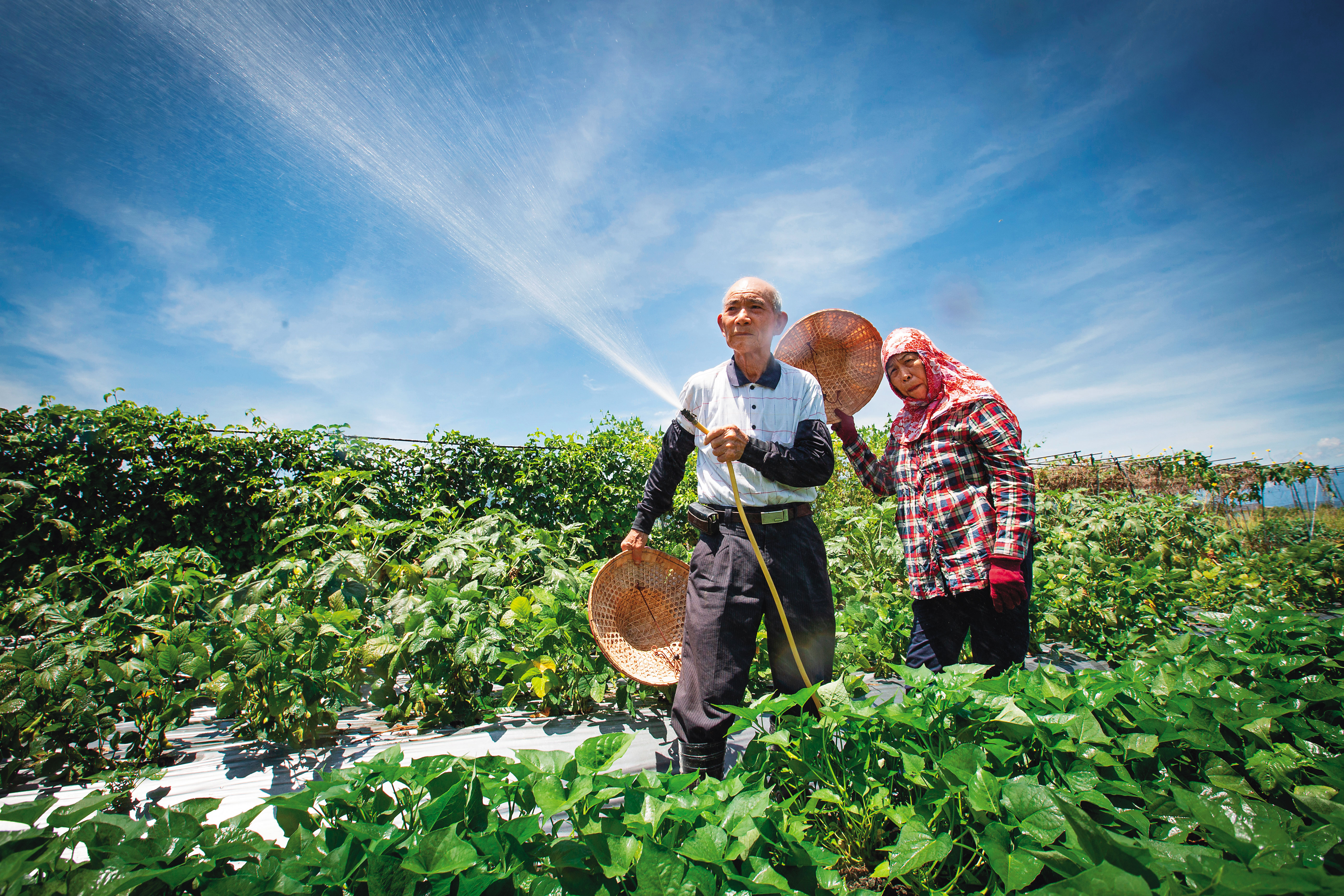 坤漳伯夫妻生命觀相近，2人都說，能做就好好做，然後盡情享受生活，一旦倒下，就讓他們自然離開。