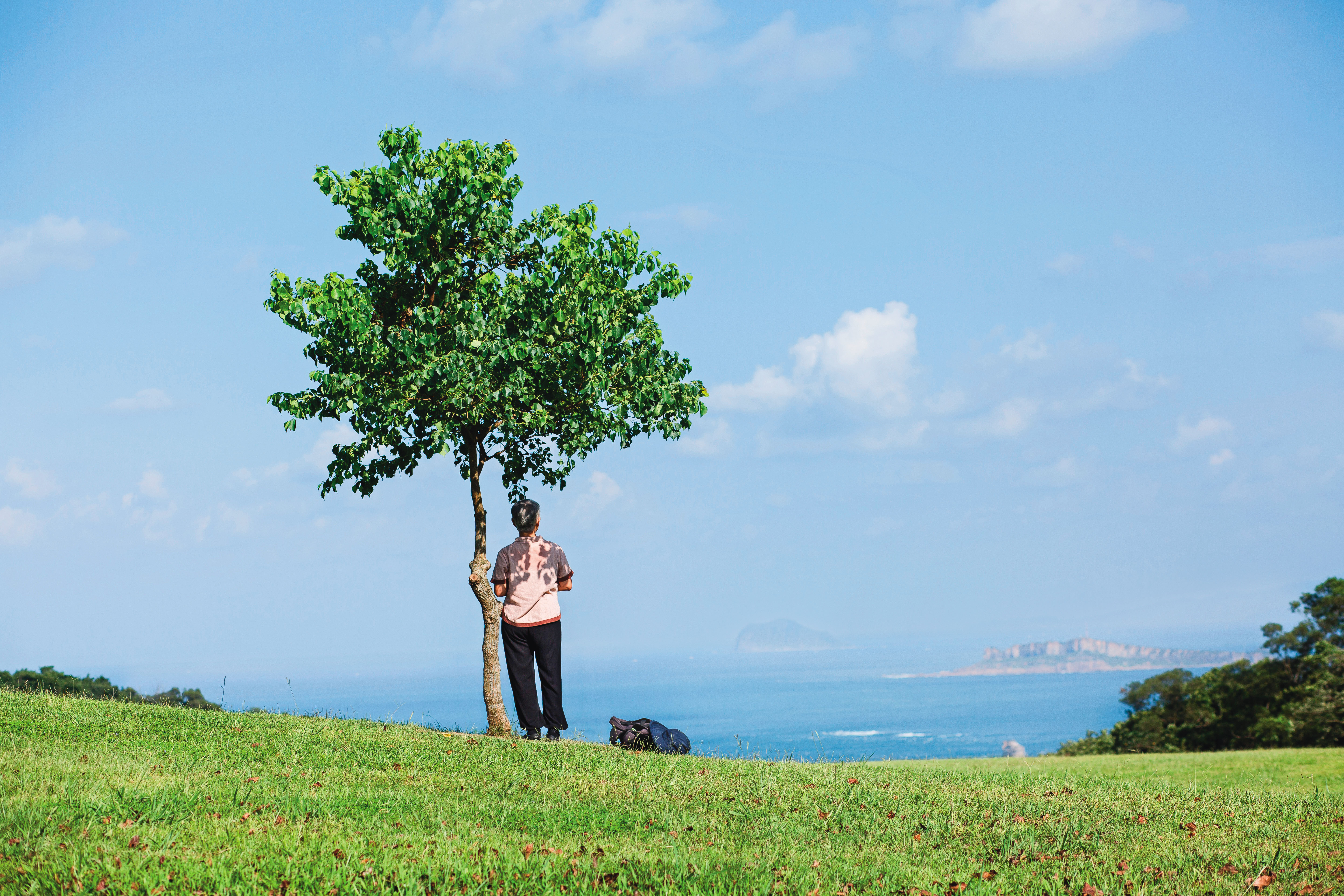 明月說，當自己學著破除我執，了解一切塵歸塵，土歸土，對母親的死亡就釋懷了，終能安然面對自己的晚年。