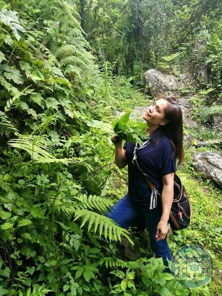靠⼭吃⼭、靠海吃海貼近土地的自然哲學令人著迷。（周郁華提供）