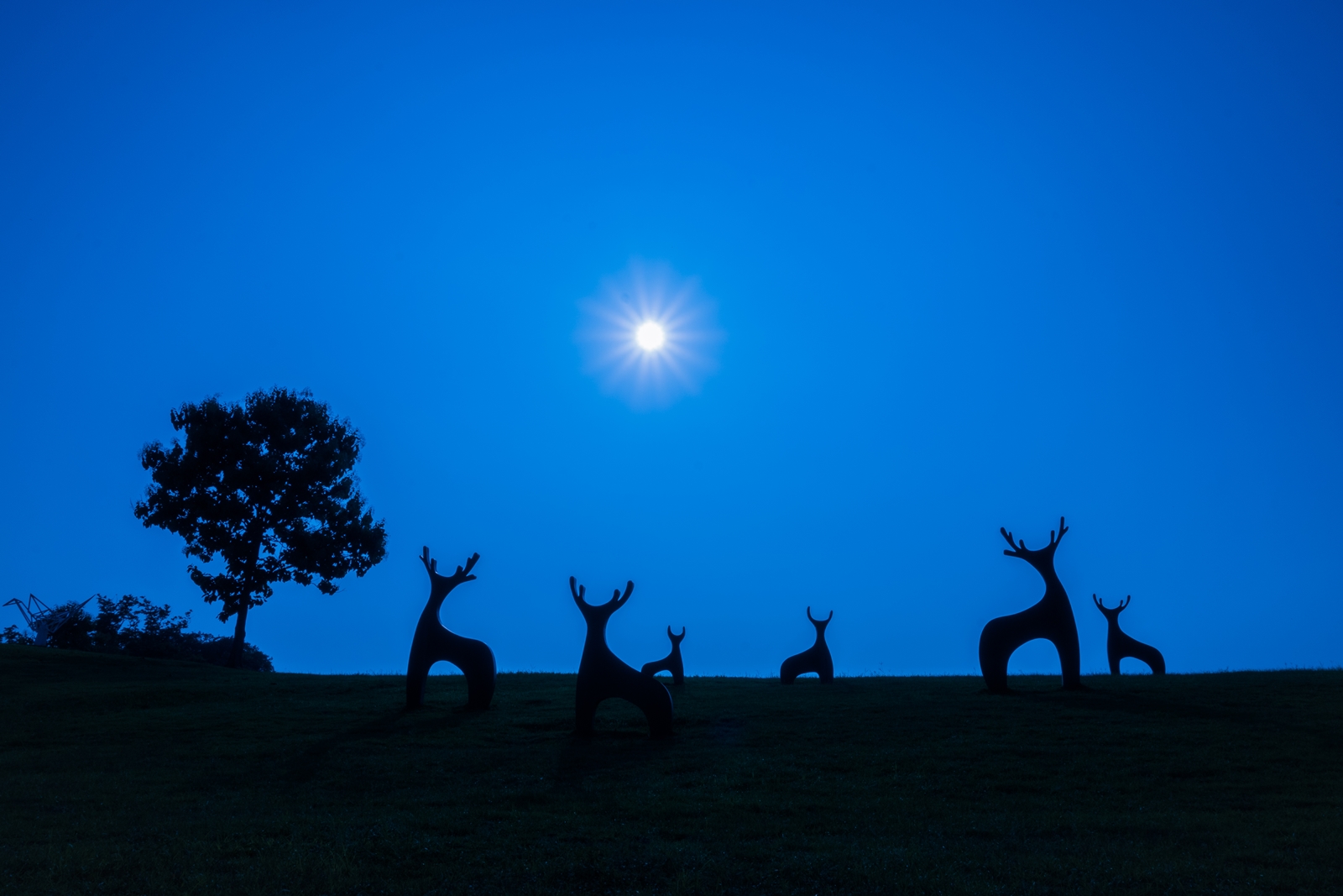 西拉雅官田遊客中心外大草原上的梅花鹿群，超級吸睛。