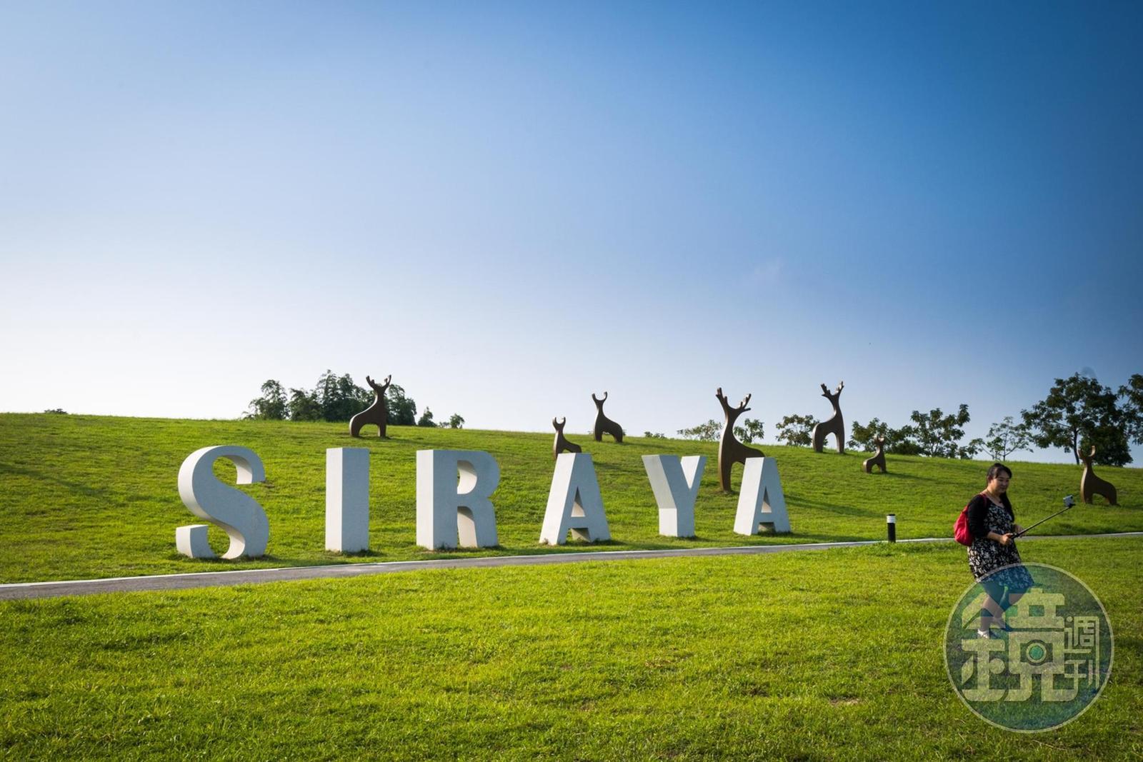SIARYA大草原很適合散步,或坐著野餐。