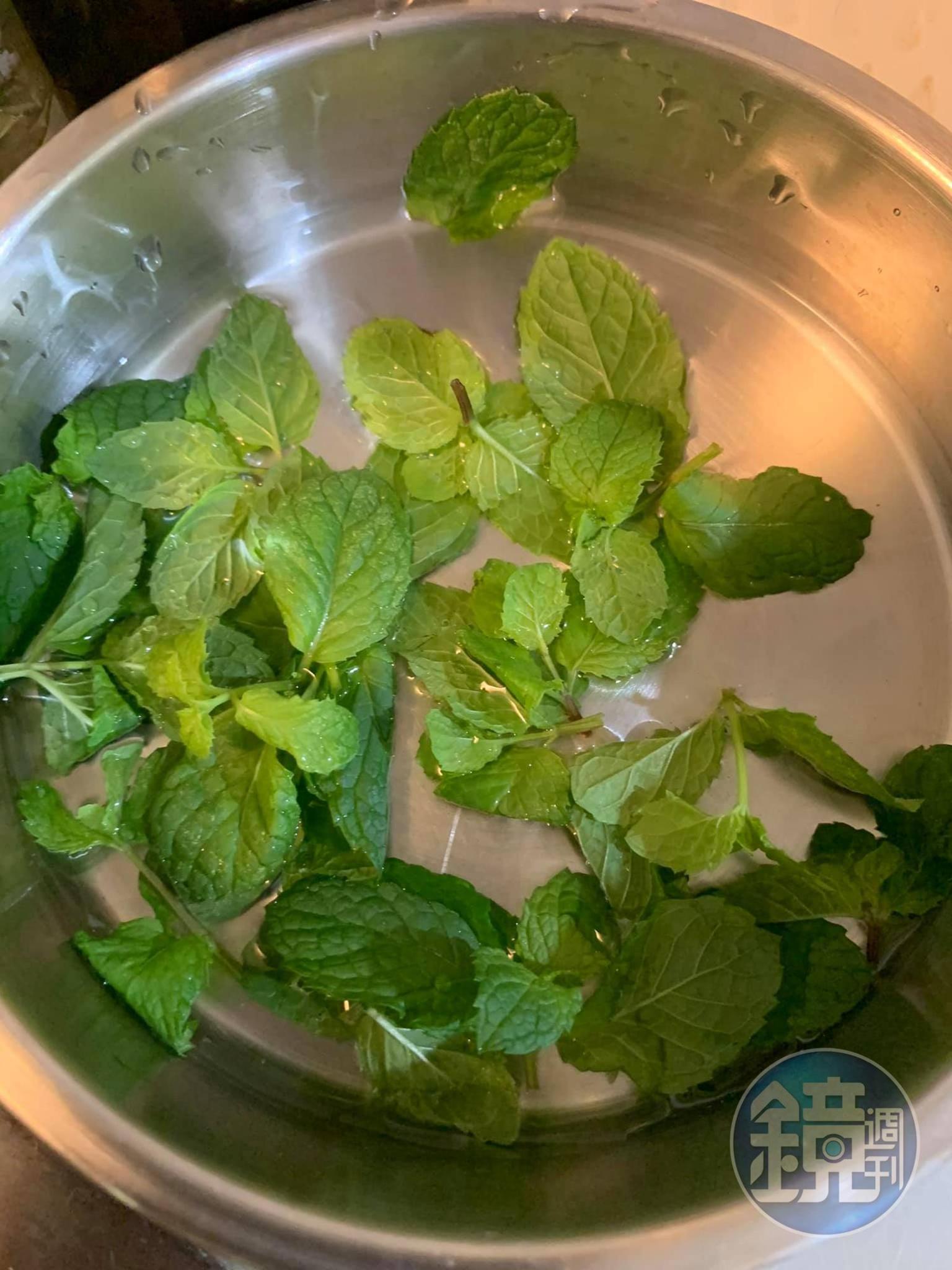 薄荷摘葉備用。