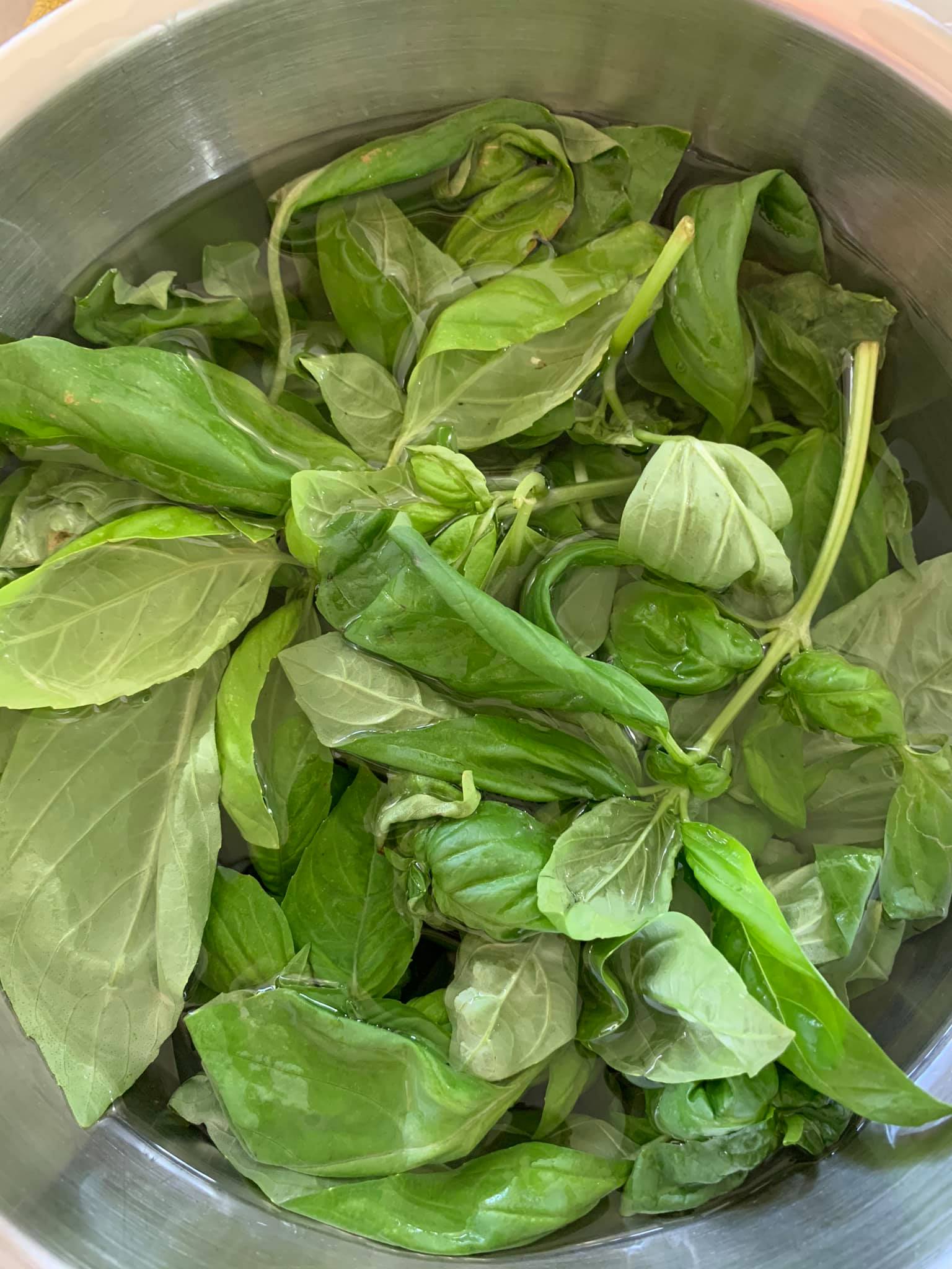 羅勒泡水，清洗摘葉。