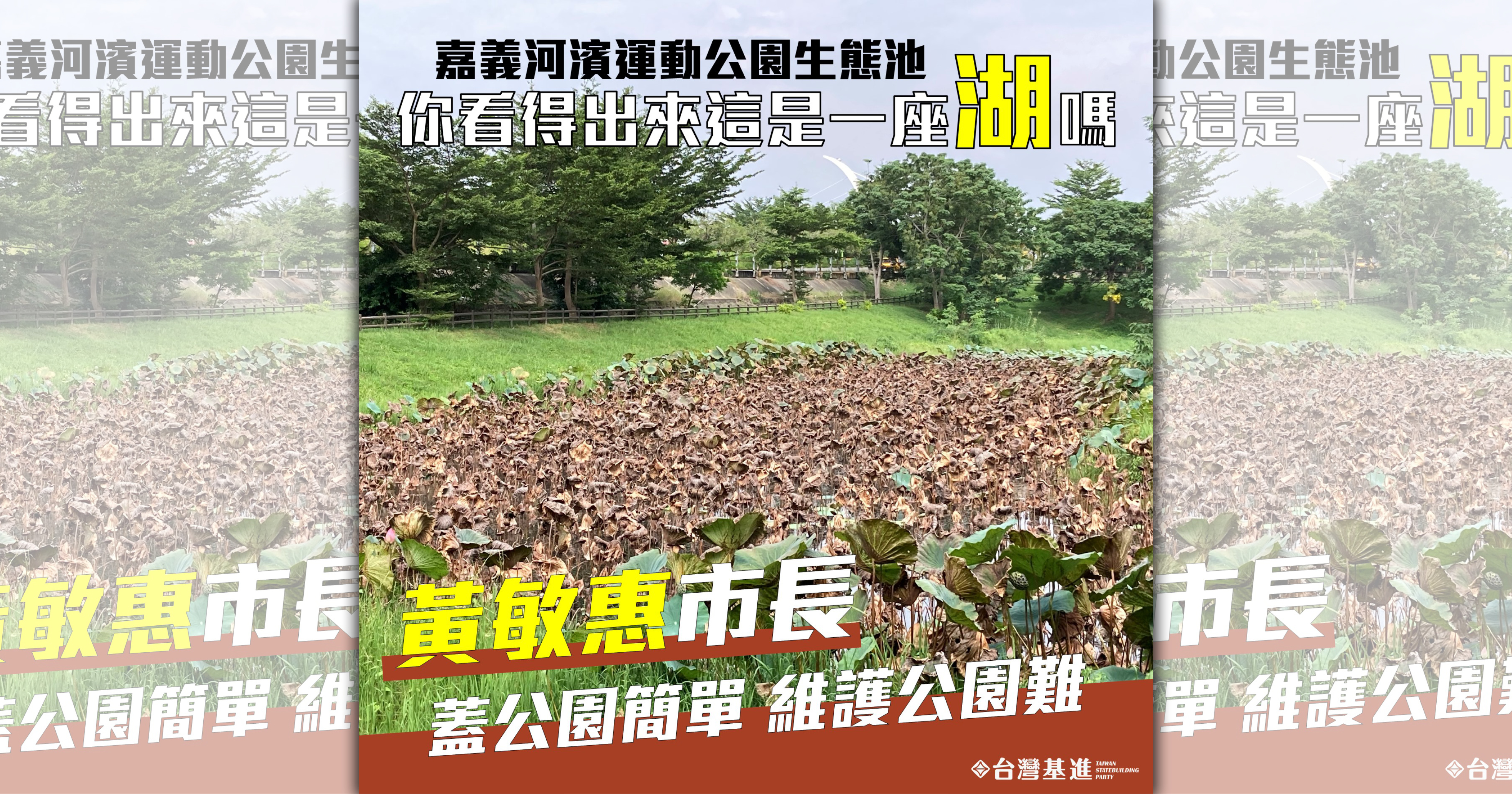 台灣基進嘉義黨部日前指出，嘉義市河濱公園內的荷花大面積枯萎，有礙市容觀瞻，卻遭網友批沒常識。（翻攝自台灣基進嘉義黨部臉書）