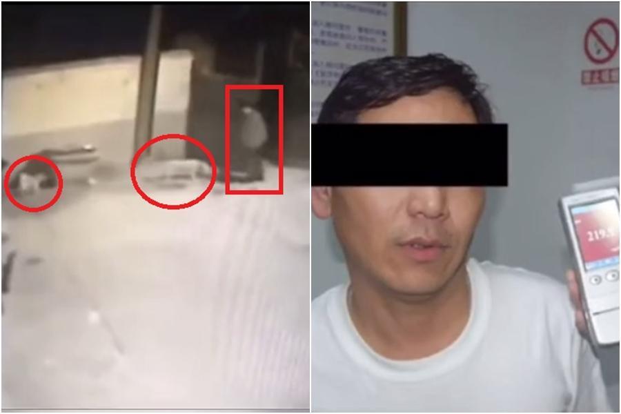 紅圈為工廠看門狗,方框為酒駕找狗理論的葉姓男子。(翻攝自湖州公安警抖雲)