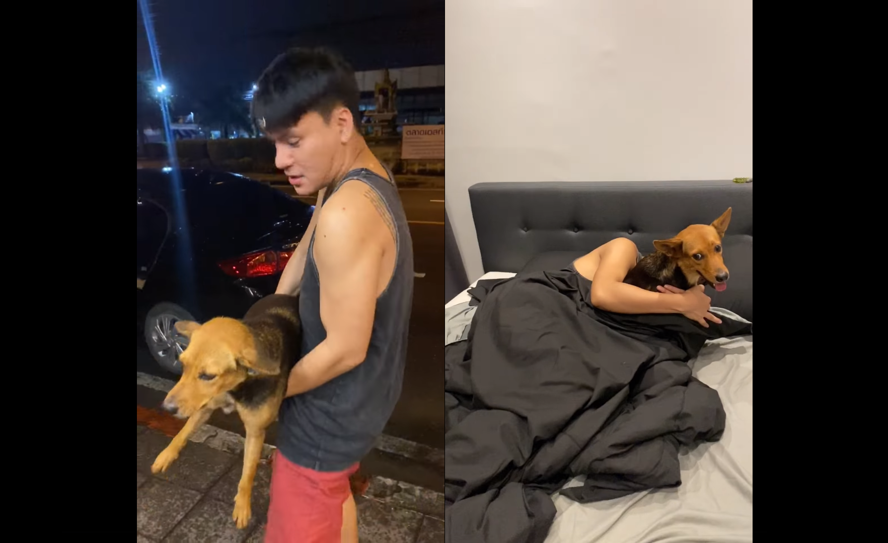 男子酒後亂抱狗，朋友笑翻卻也沒有阻止，還跟他說：「對、你只能選擇1隻。」（翻攝自臉書Yutthaphum Kaewekhem）
