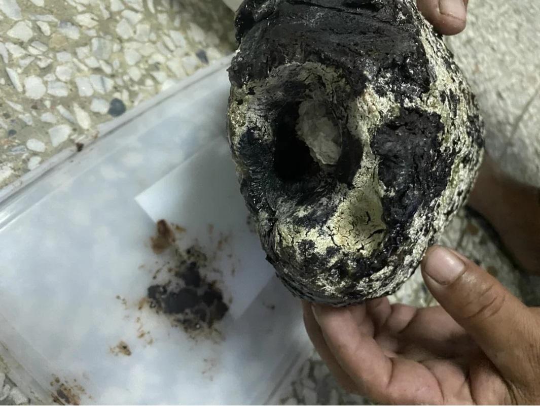 釣魚民眾在海邊拾得的怪石，經鑑定為龍涎香真品。（翻攝畫面）