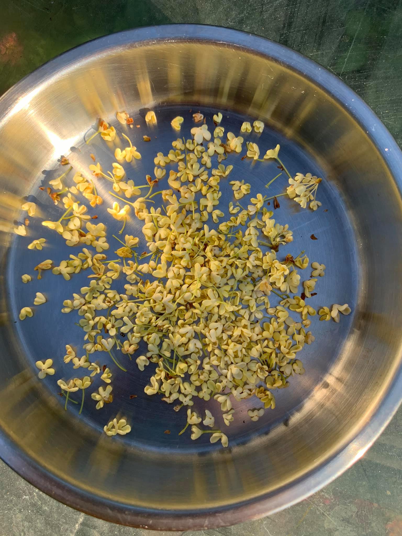 傍晚時在花園現採的桂花（若沒有，可不放）。