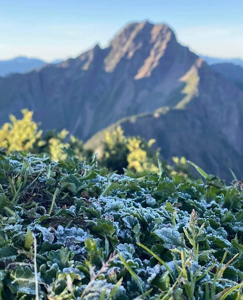 寒露到，玉山北峰結霜了。（翻攝自鄭明典臉書，玉山氣象站李正紀提供）
