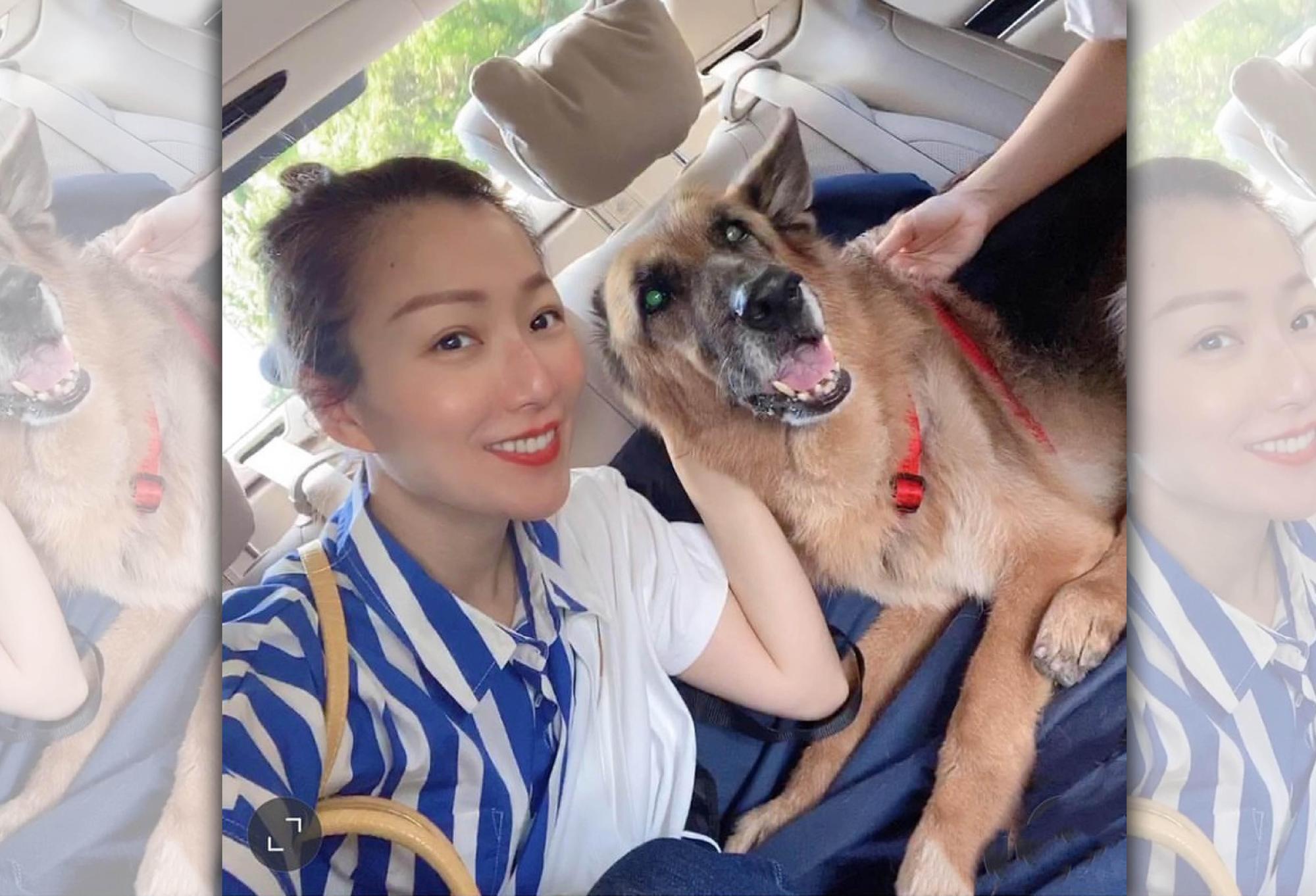 鄭秀文與許志安飼養的愛犬Lucky去世,她哀傷不已。(翻攝自鄭秀文IG)