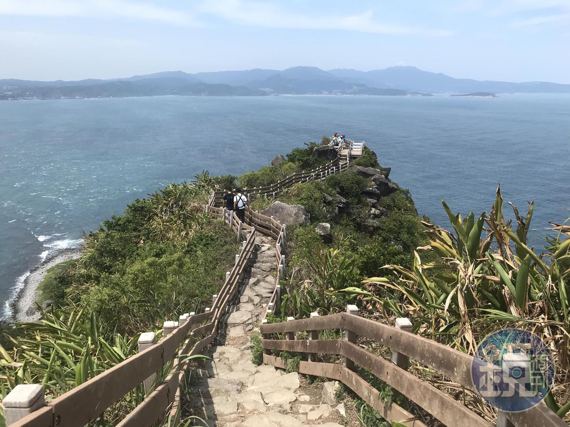 木棧道沿途，可觀賞植被生態。