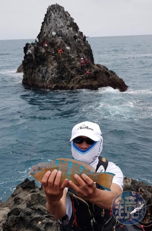 磯釣高手展示剛釣到的鸚哥魚。