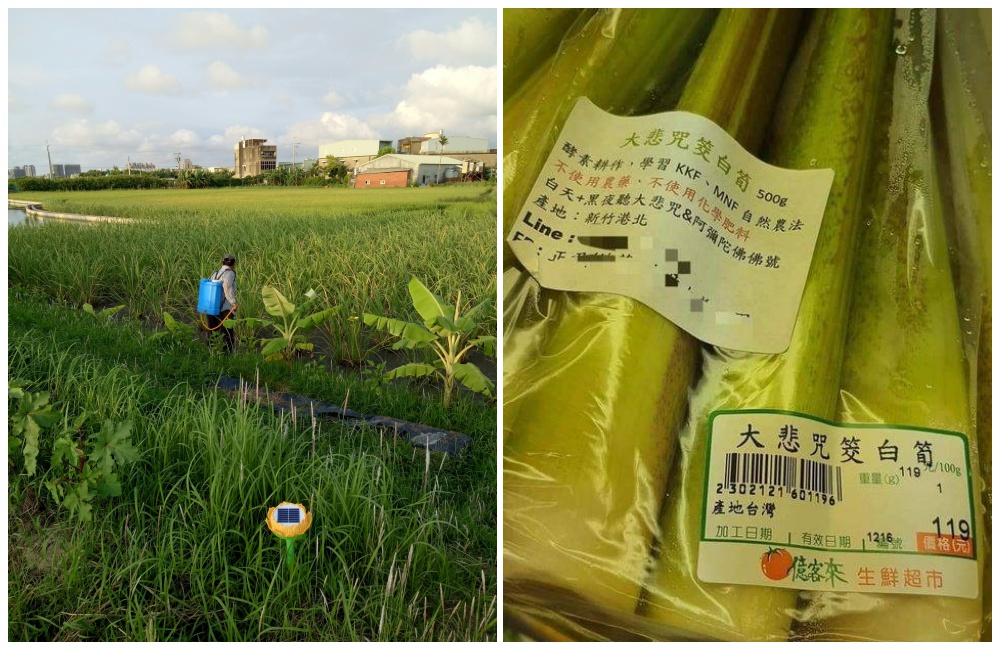 有網友在超市驚見大悲咒筊白筍，一包119元。（翻攝自PTT、行政院農業改良場網站）