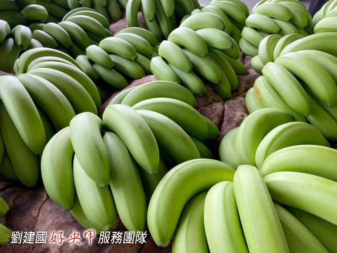 企業均紛紛加入採購行列，穩定蕉價。（立委劉建國服務處提供）