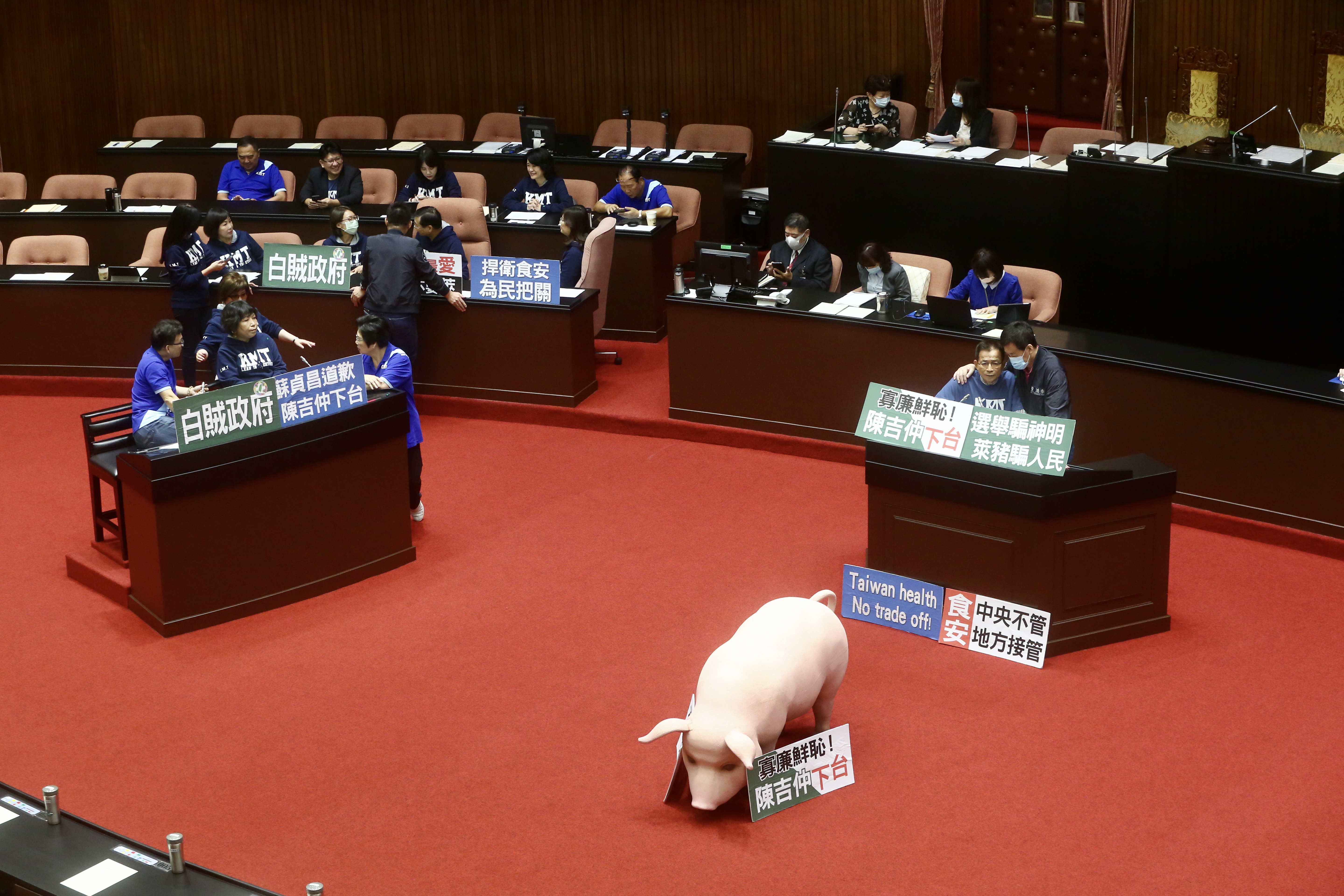 國民黨立委以人肉、豬模型占據發言台及質詢台，杯葛院會召開。