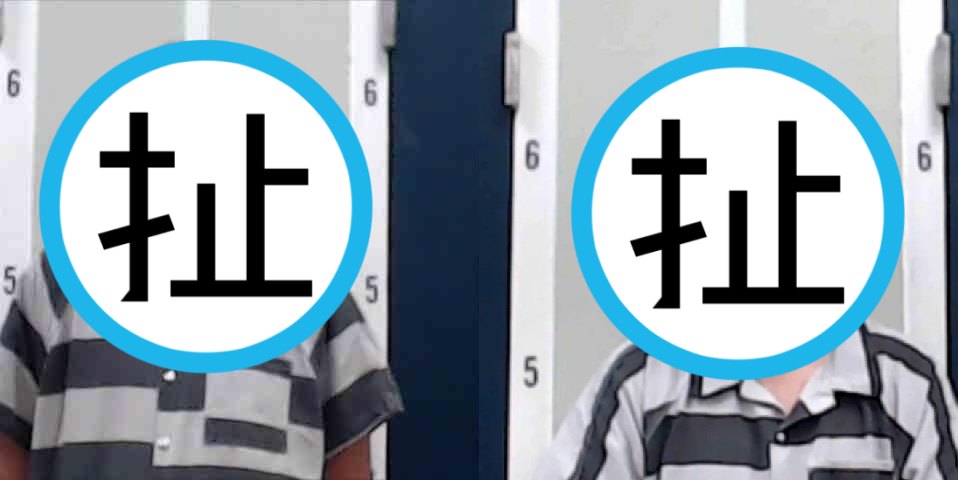 驚世雙胞胎先後因猥褻學生被捕入獄。(翻攝自迪卡爾布郡警長辦公室)
