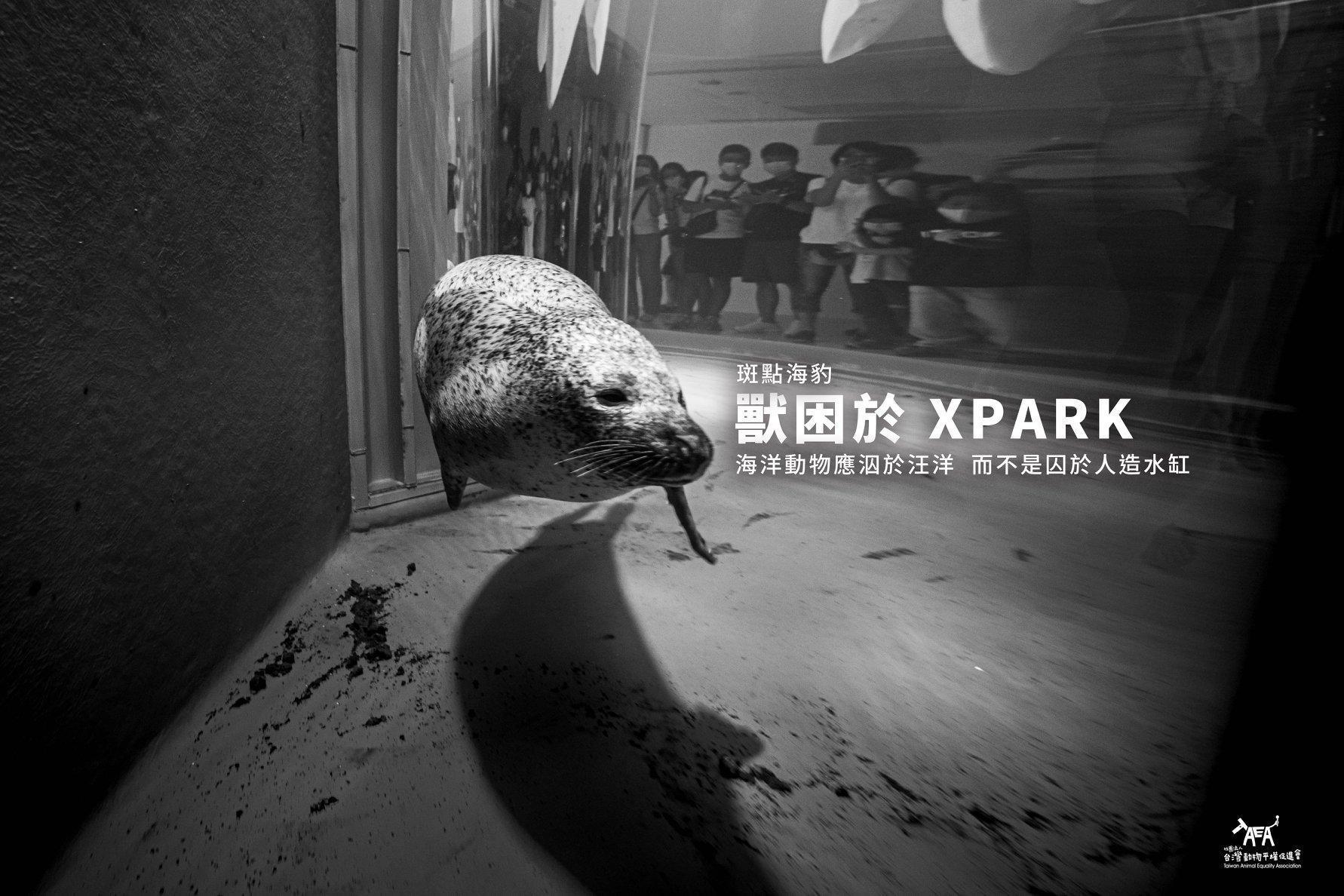 台灣動物平權促進會po文批評Xpark水族館,設計狹小、單調的人造水缸,完全只為了滿足人類觀賞的需求。(翻攝自台灣動物平權促進會)