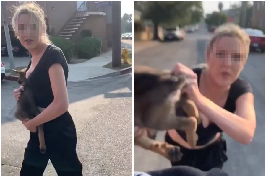 美國饒舌歌手格洛姆拉（Glomula）發布影片，女子不斷叫囂還朝他丟狗，引起網友熱議。（翻攝自Glomula IG）