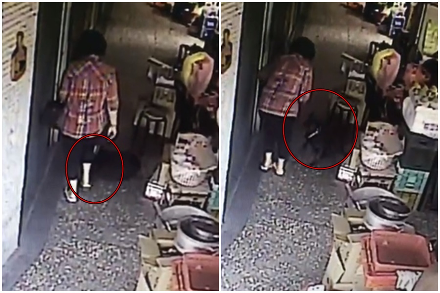 一位網友在臉書社團PO出監視器。（翻攝自臉書台灣動保社團）