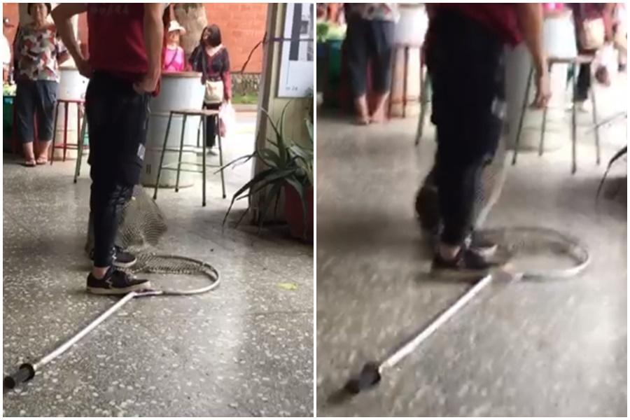 婦人報警處理，動保處隨後派人抓狗，大黑狗不斷掙扎。（翻攝自臉書台灣動保社團）