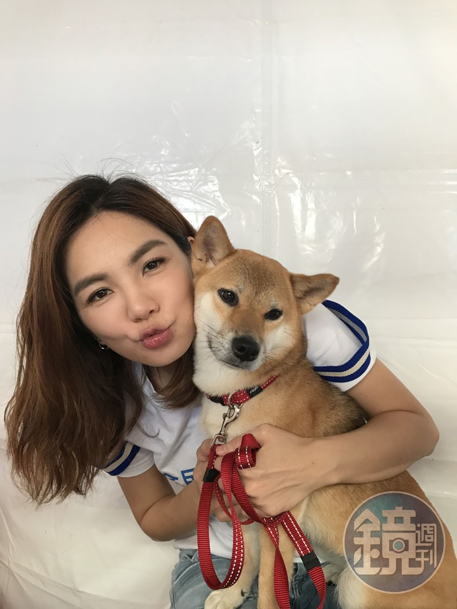 熊爸估狗】柴犬武士魂大爆發真難養？ 訓練傲嬌柴祕密武器就是它… - 鏡週刊Mirror Media