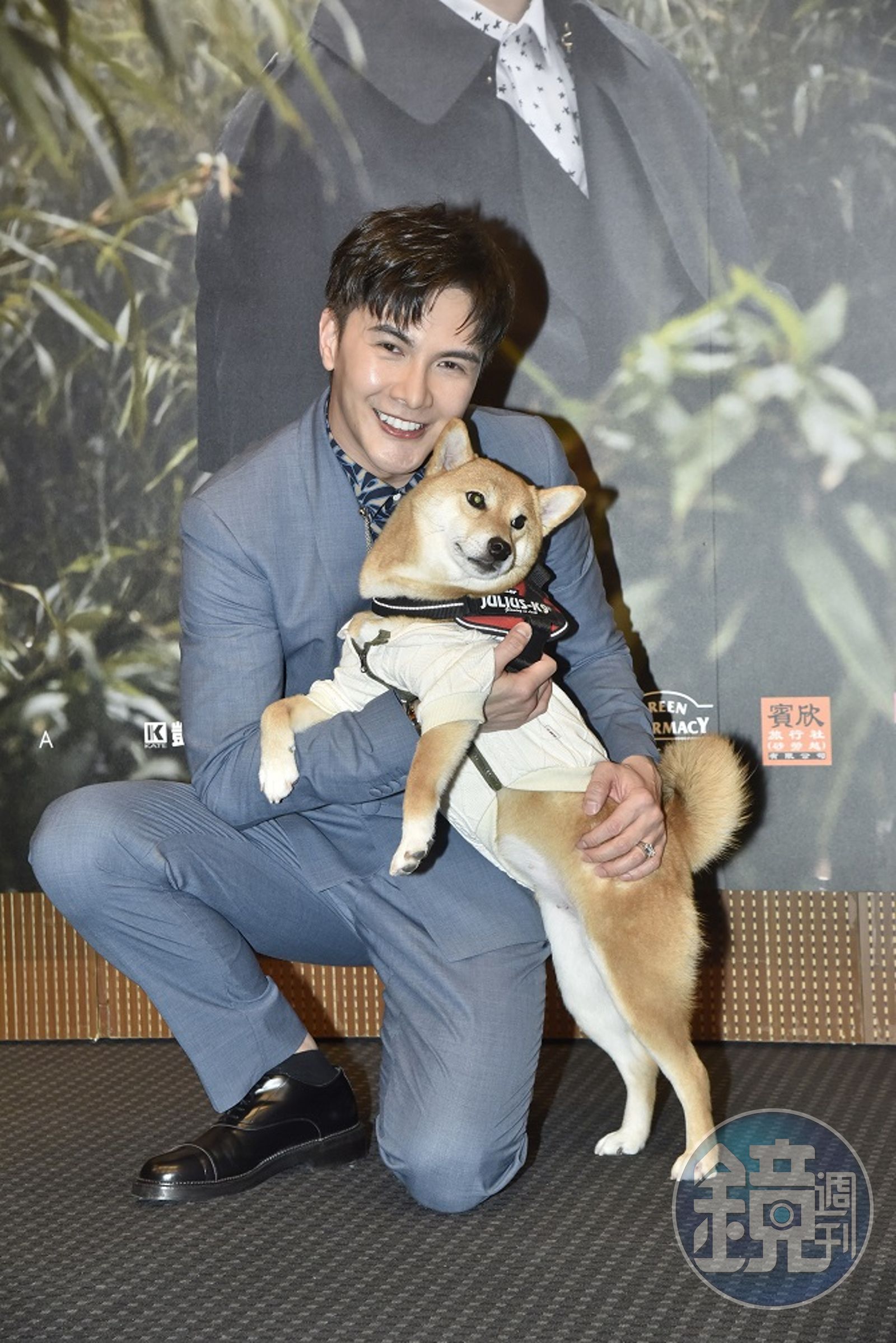 熊爸估狗】柴犬武士魂大爆發真難養？ 訓練傲嬌柴祕密武器就是它… - 鏡週刊Mirror Media