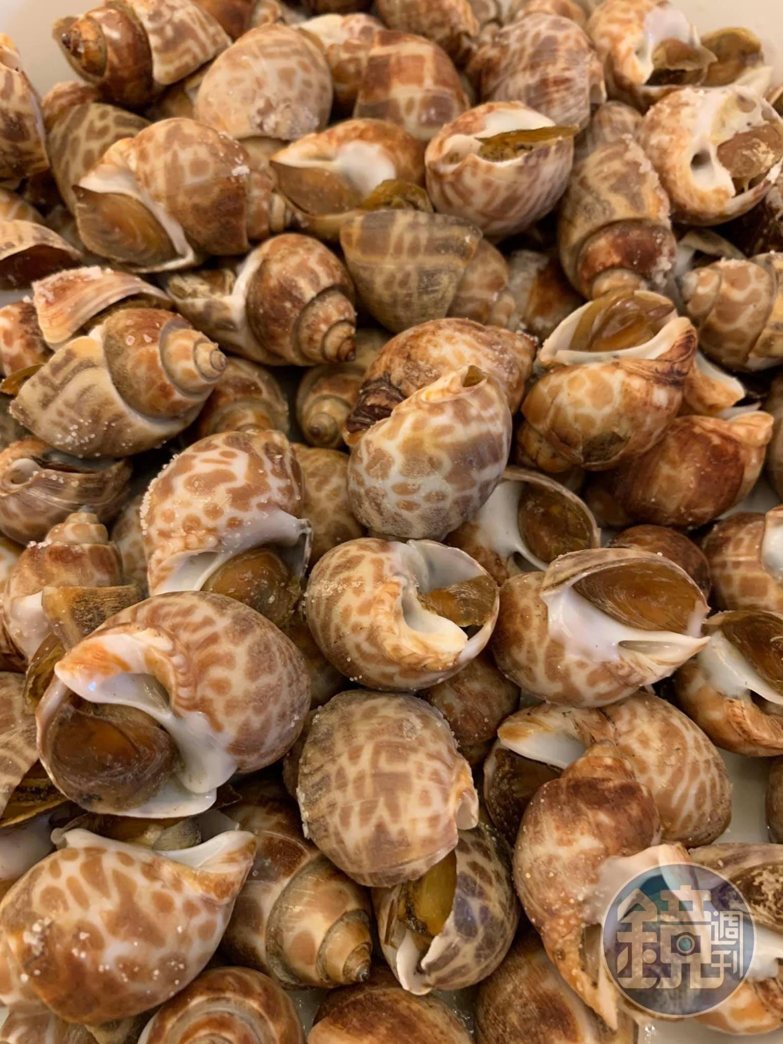 秋風起、海味興，鳳螺正得時！
