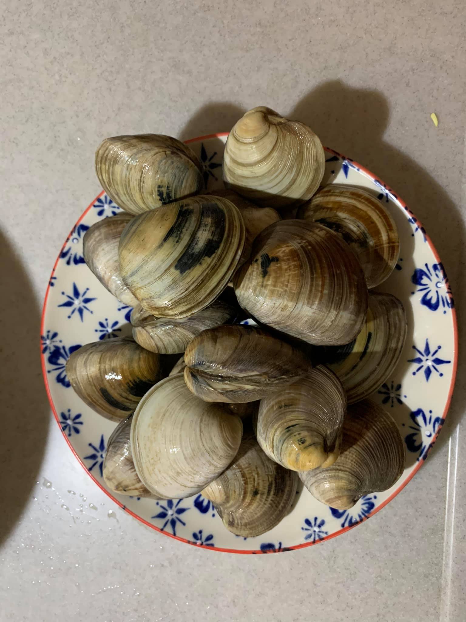 預備了一些大蛤蜊。