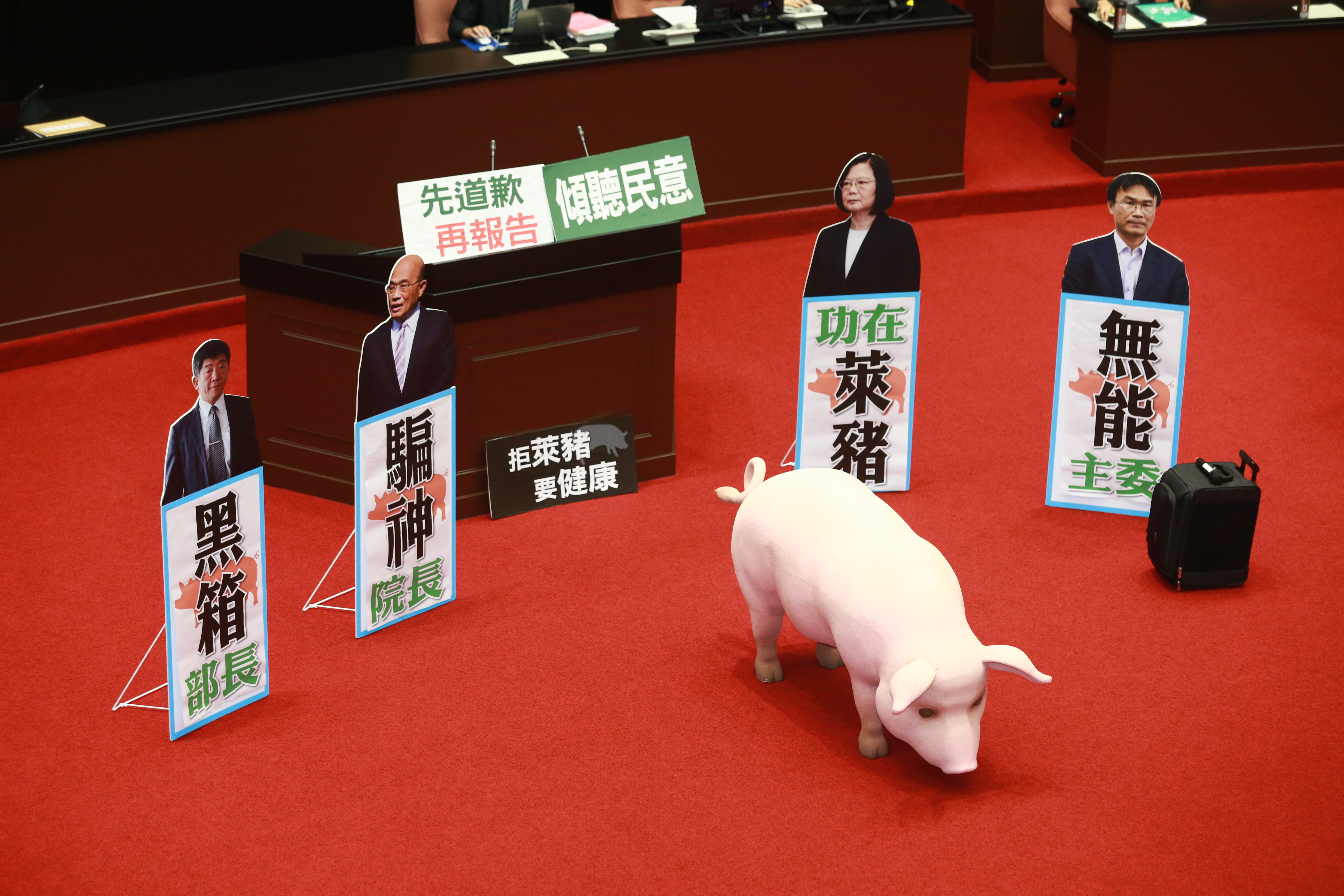 國民黨今日再度占領議場,並搬出豬模型。