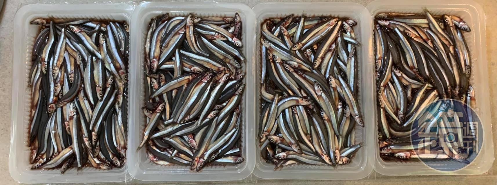 多漂亮的丁香魚啊！