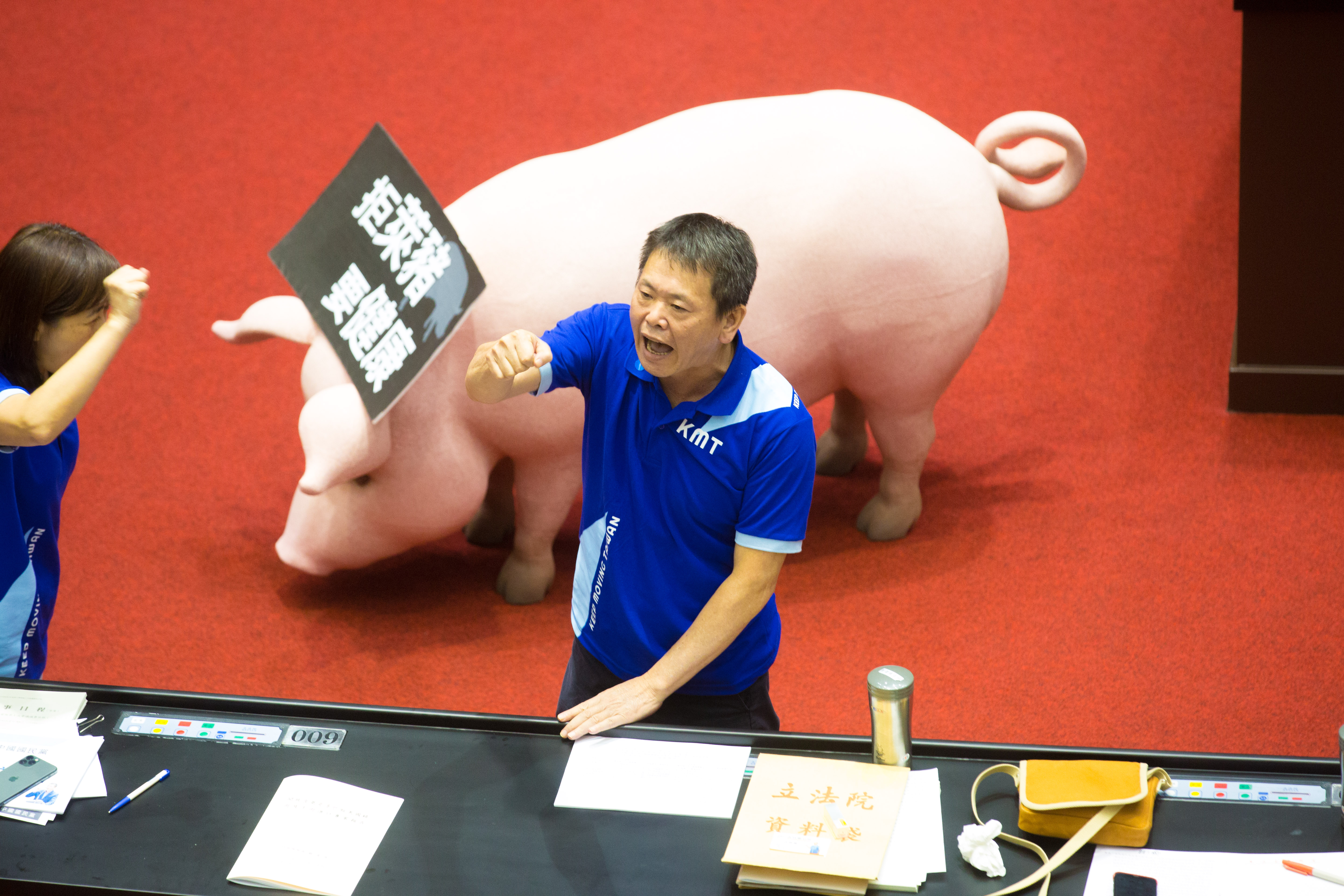 國民黨團總召林為洲證實，國民黨將號召上百個公民團體加入秋鬥反美豬進口。（資料照）