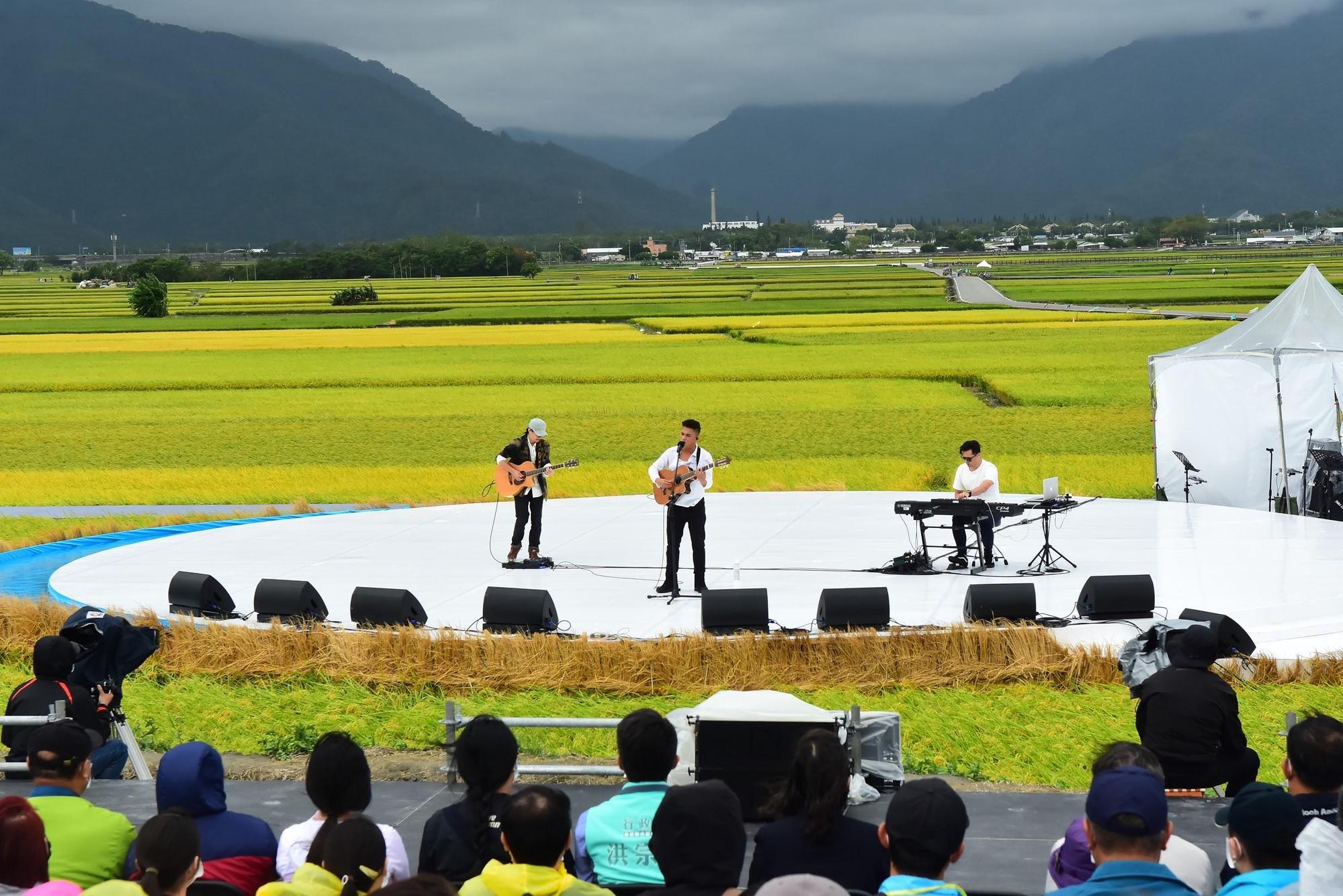 歌手桑布伊在「2020池上秋收稻穗藝術節」中,於金黃稻浪中獻唱。(台灣好基金會提供)