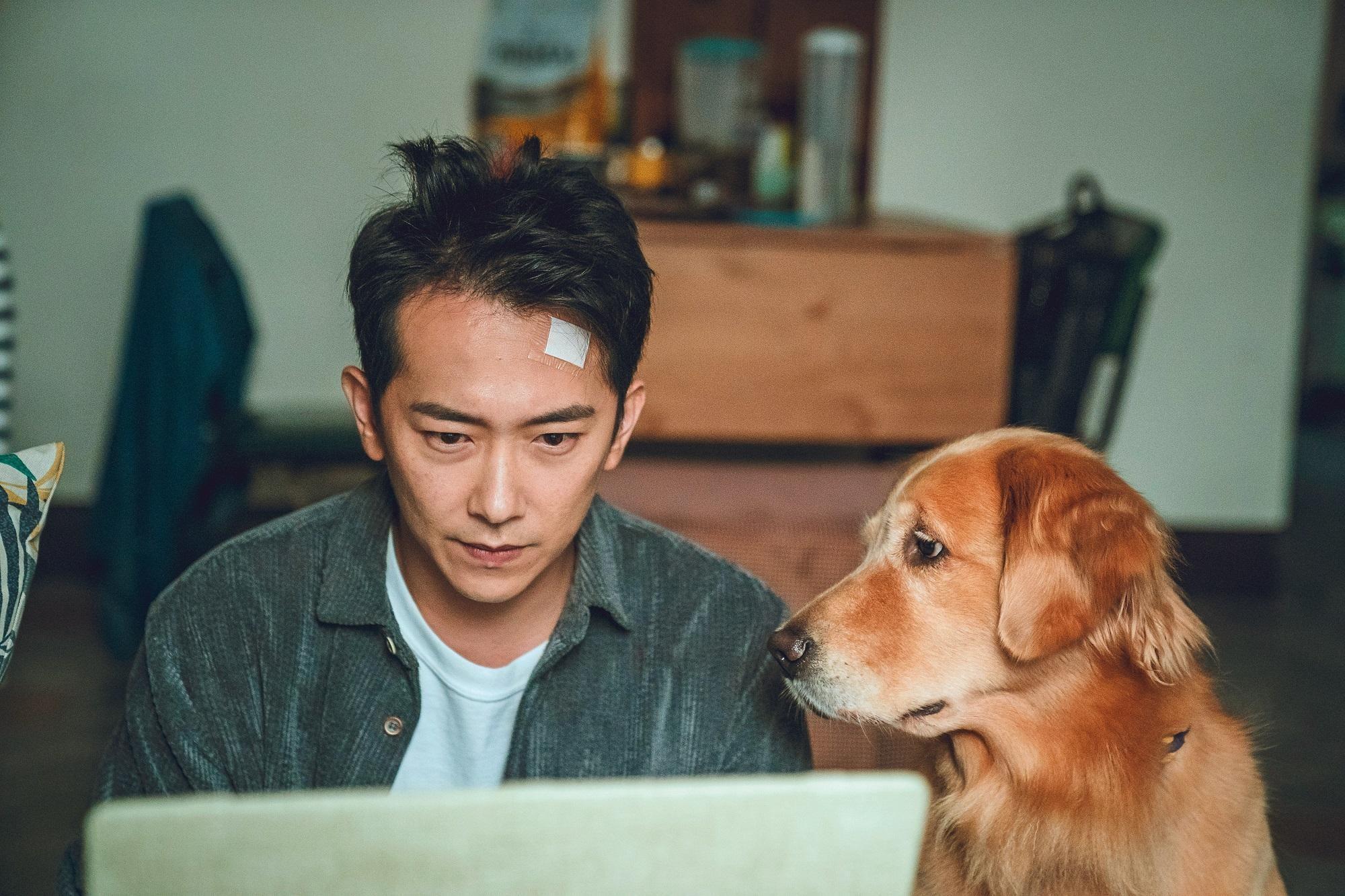 《黑喵知情》中黃金獵犬「小小」費時6個月訓練 ,還需提前與演員施名帥(左)培養感情。(酷斯本提供)