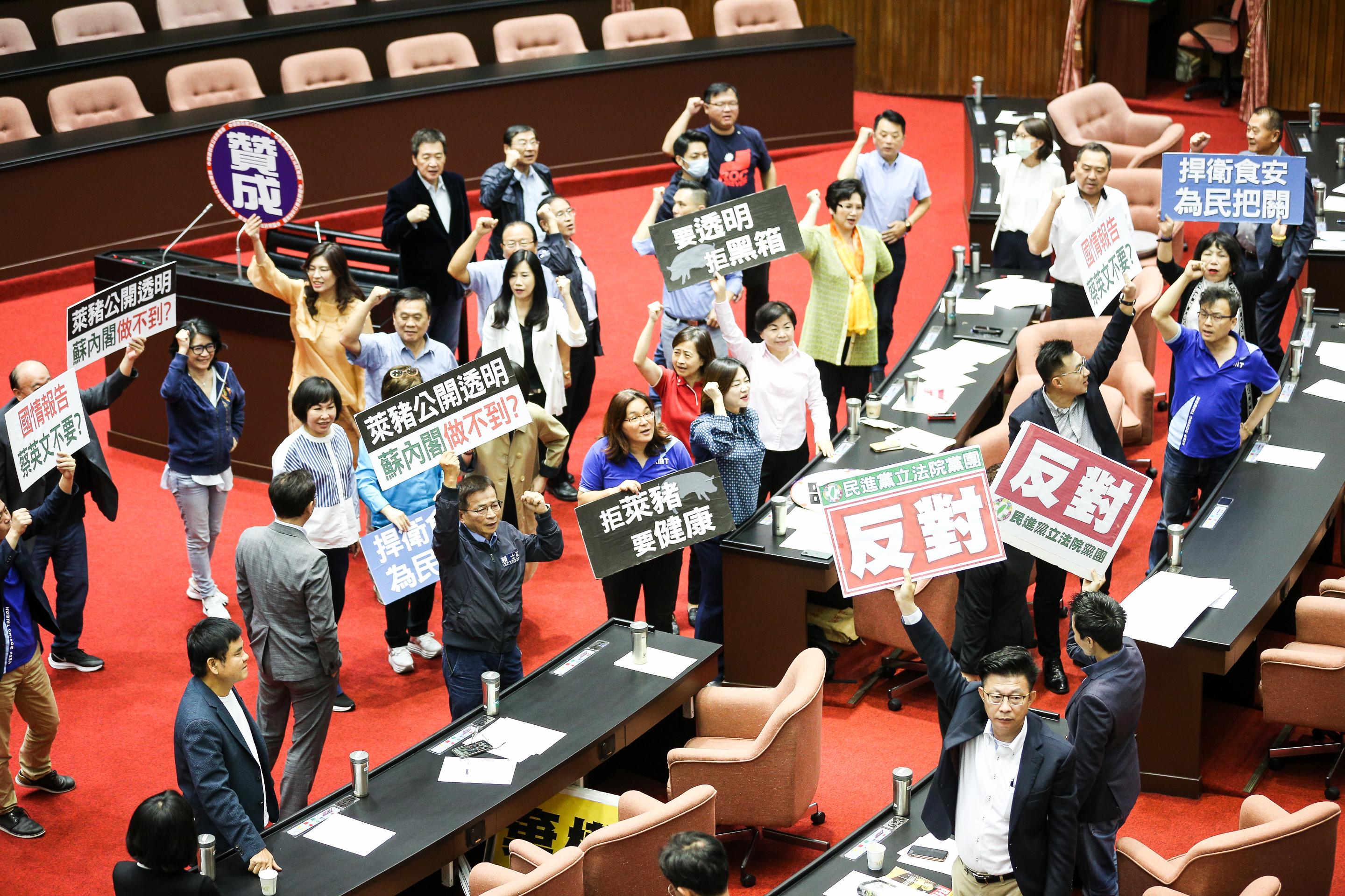從宣布美豬將開放進口以來爭議就一直不斷。