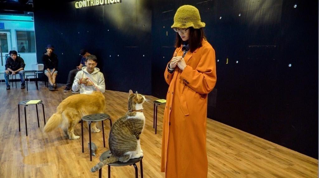 連俞涵(右)在劇組安排的寵物溝通課中學習與動物溝通,安撫訓練課她也嘗試與貓交流。(酷斯本提供)