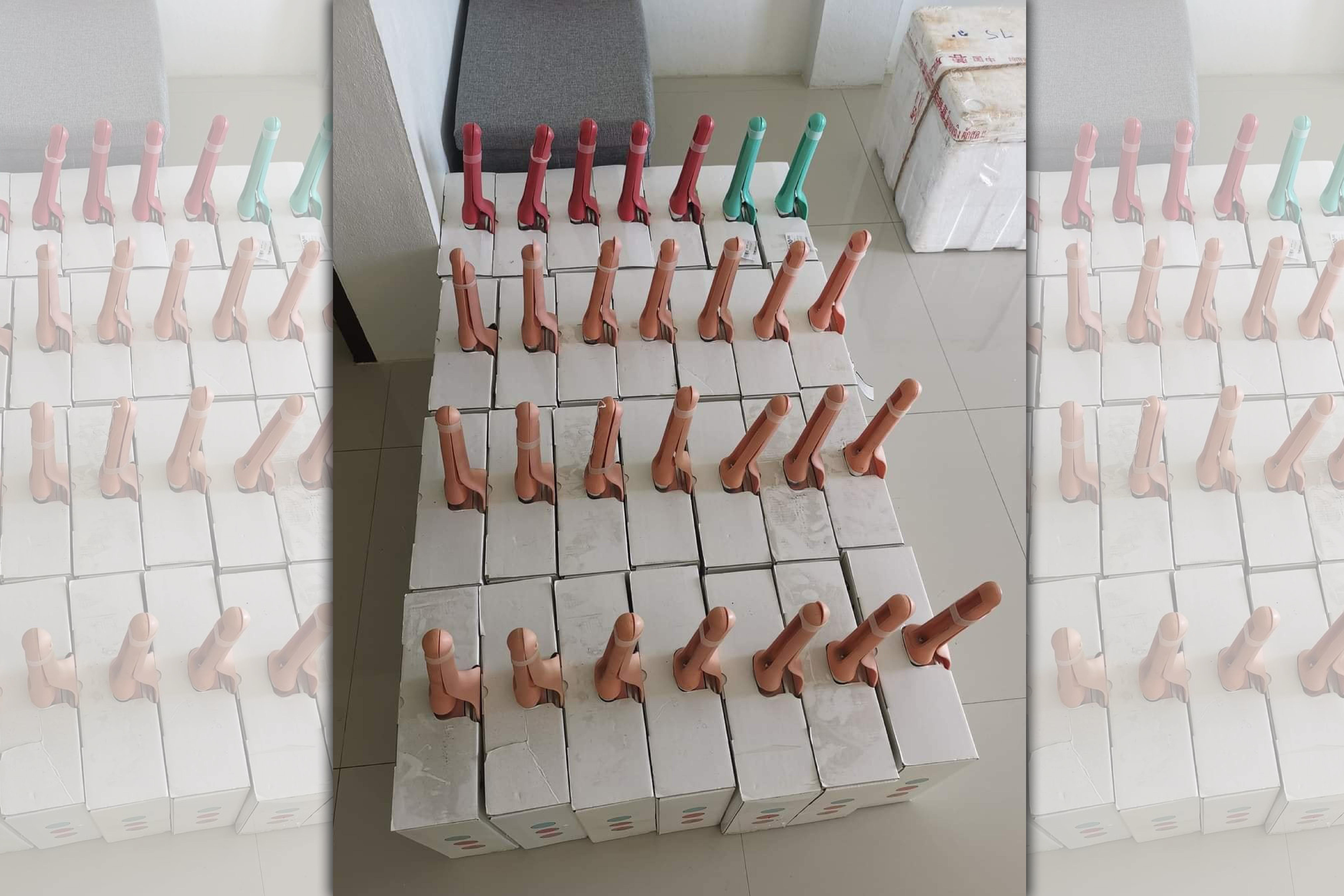 一根根棒狀物讓人誤以為是情趣用品，不少網友都想歪了。（翻攝自爆廢1公社）