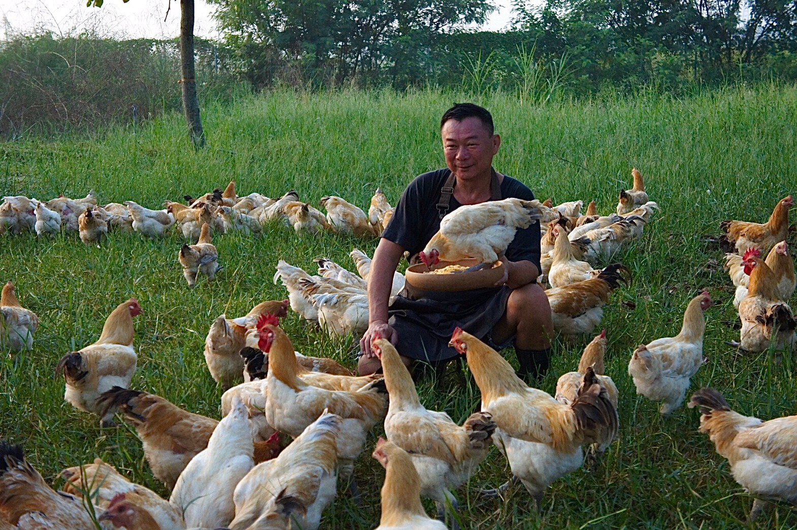 台灣復興雜糧先驅「十甲有機農場」創辦人蔡一宏，是飼養帕修斯雞的「雞爸爸」。