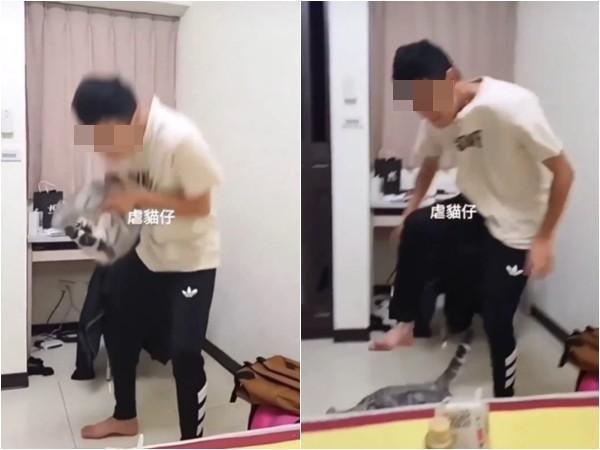 一名網友爆料,疑似為台中亞洲大學的學生虐貓。(翻攝「貓咪也瘋狂俱樂部」臉書社團)