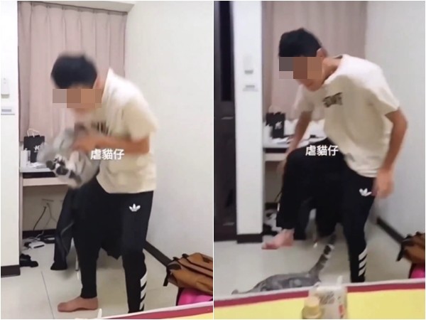 一名網友爆料，疑似為台中亞洲大學的學生虐貓。（翻攝「貓咪也瘋狂俱樂部」臉書社團）