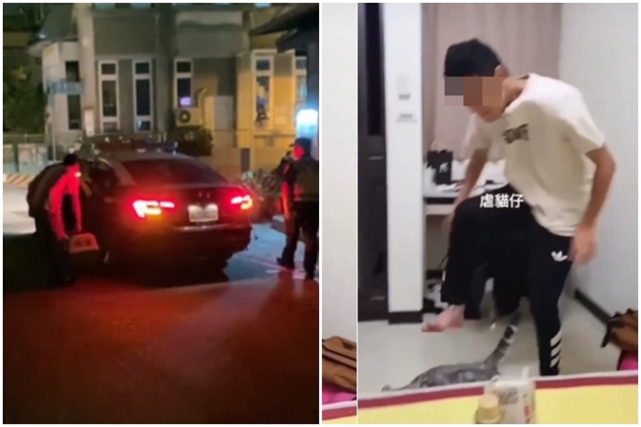 台中某大學男大生涉嫌虐貓20秒，引起大票網友關注。（翻攝自「翻攝貓咪也瘋狂俱樂部」臉書社團）