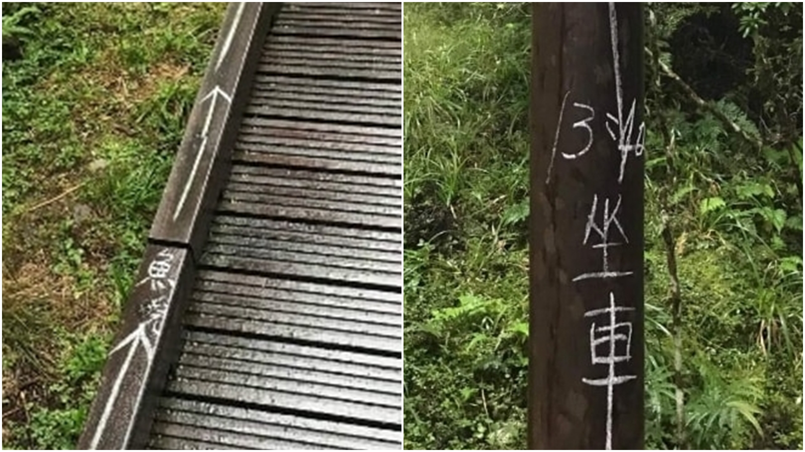 有網友推測這些塗鴉是「旅行團」做的，只為了引導團員。（合成圖，翻攝自「太平山國家森林遊樂區」粉專）