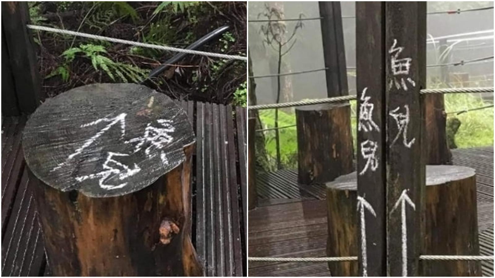 有遊客行經太平山茂興步道時,意外發現多處遭到塗鴉,因此通報管理單位。(合成圖,翻攝自「太平山國家森林遊樂區」粉專)