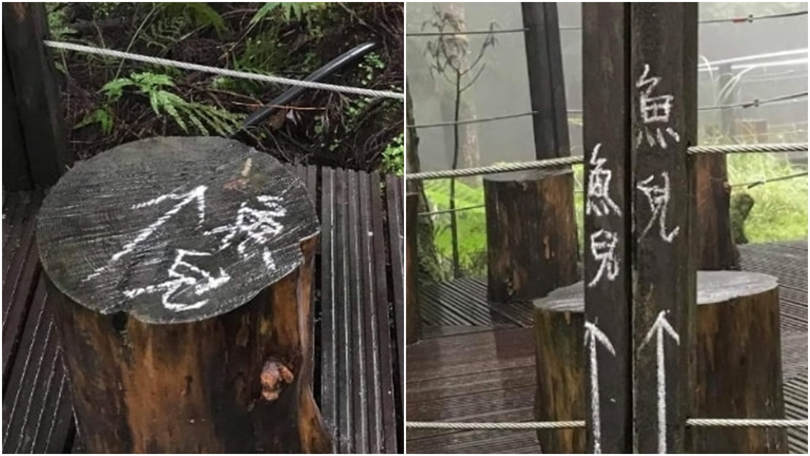 有遊客行經太平山茂興步道時，意外發現多處遭到塗鴉，因此通報管理單位。（合成圖，翻攝自「太平山國家森林遊樂區」粉專）