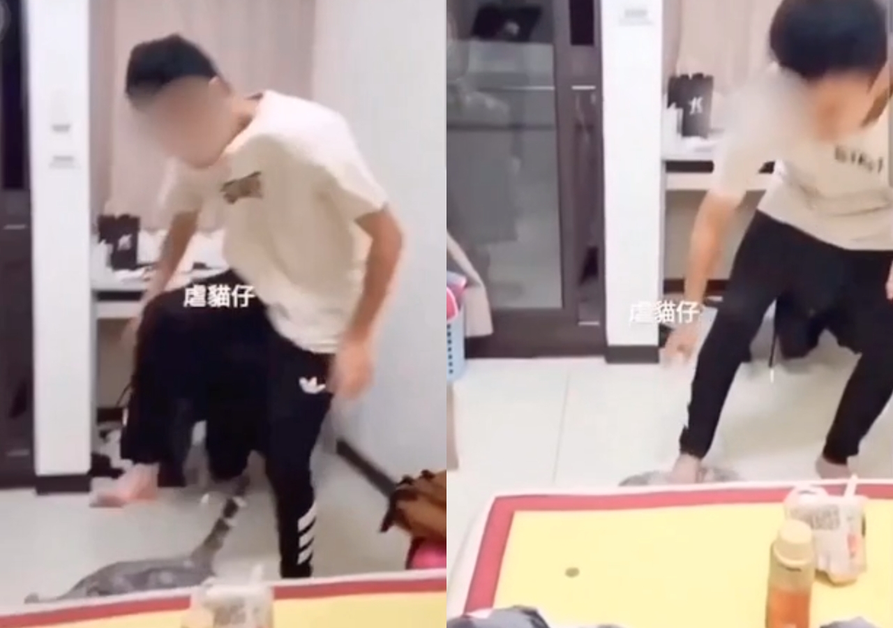 亞洲大學學生虐貓影片曝光，校方表示會依規懲處，並對其加強生命教育。（翻攝自貓咪也瘋狂俱樂部臉書社團）