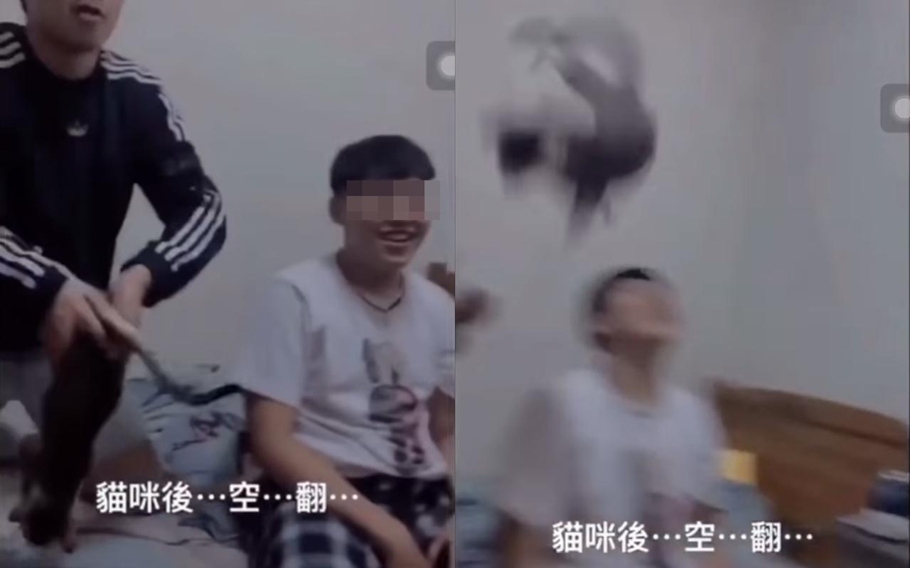日前中華大學的3名學生開心地將貓咪拋甩空中，讓網友相當憤怒。（翻攝自貓咪也瘋狂臉書社團）