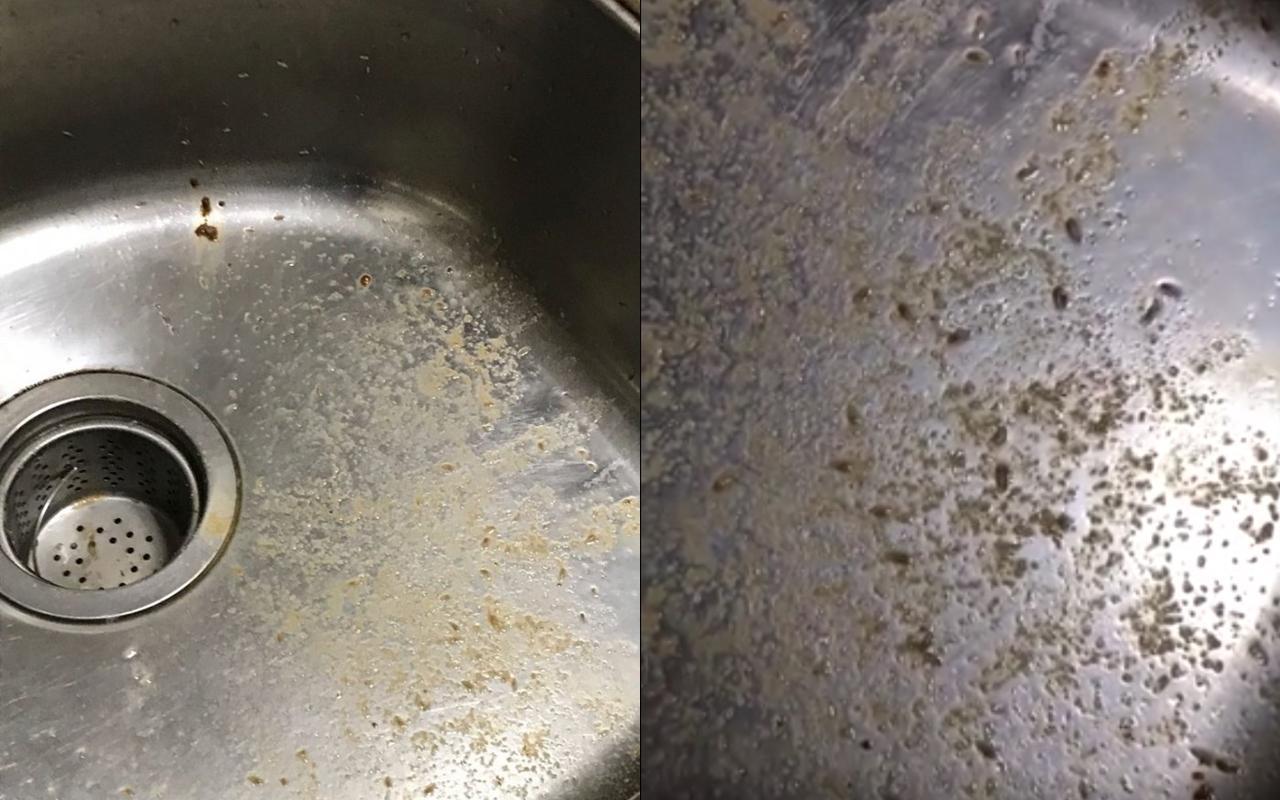 一名網友健身完後,在運動中心的機台買了一杯高蛋白飲品,卻喝到了滿滿的「活蛆」。(翻攝自Dcard)