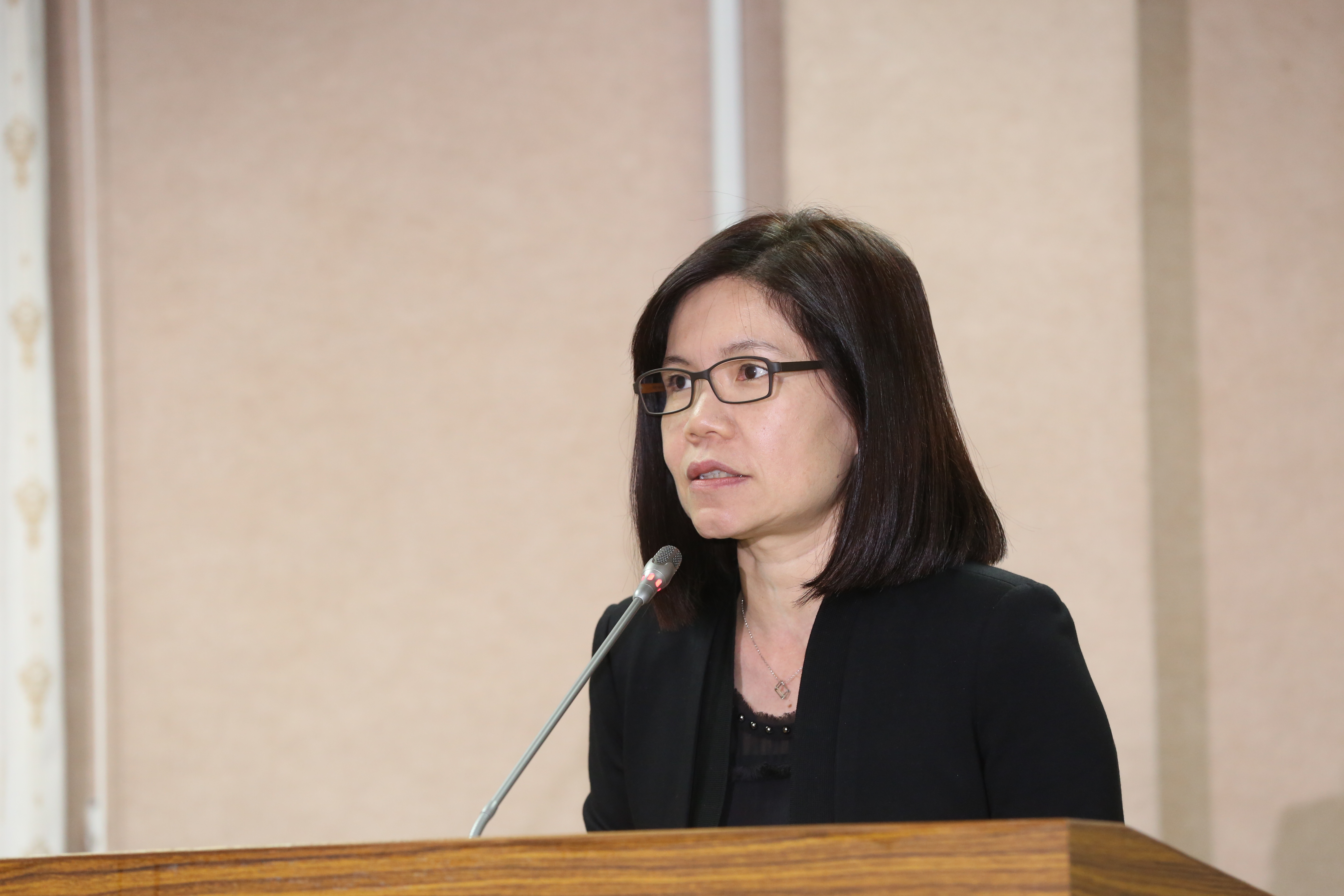 世新大學性別所教授陳宜倩直言，同性婚姻專法是政治妥協的當果，仍有許多待修補的地方。