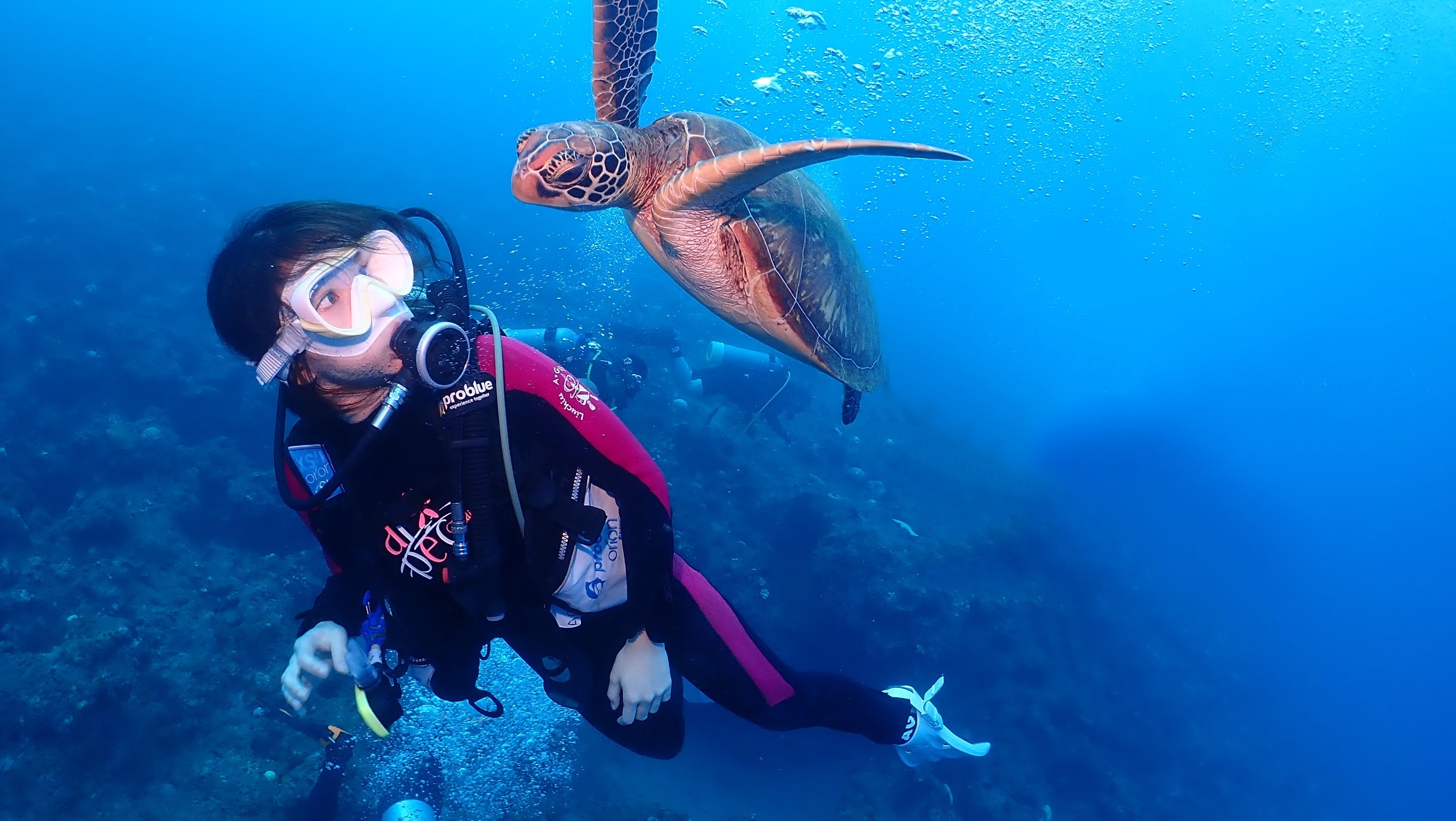 郭書瑤到小琉球旅行，把握機會下海潛水，意外與海龜奇妙相遇。（寶拉珍選提供）