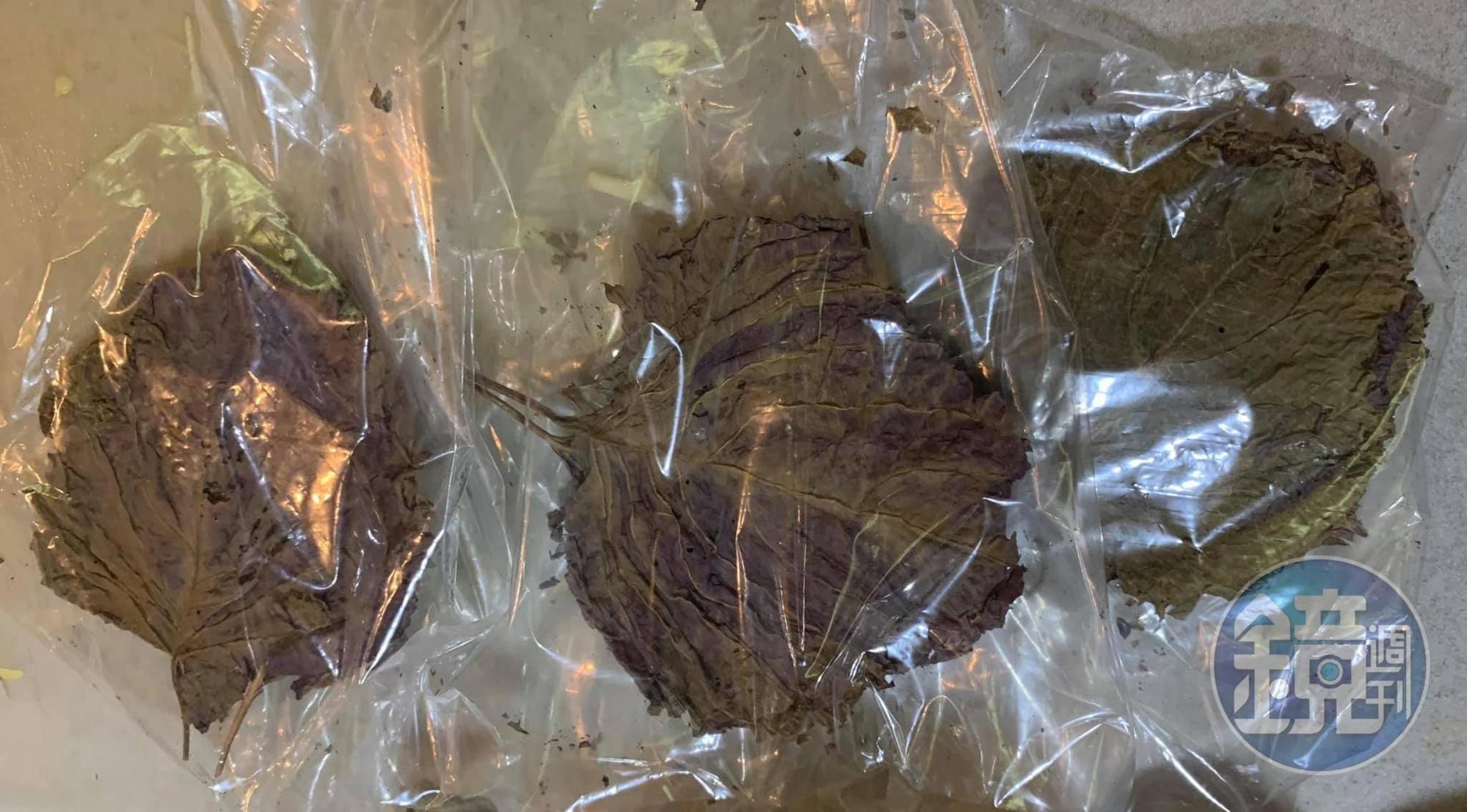 今天也準備了乾燥紫蘇。