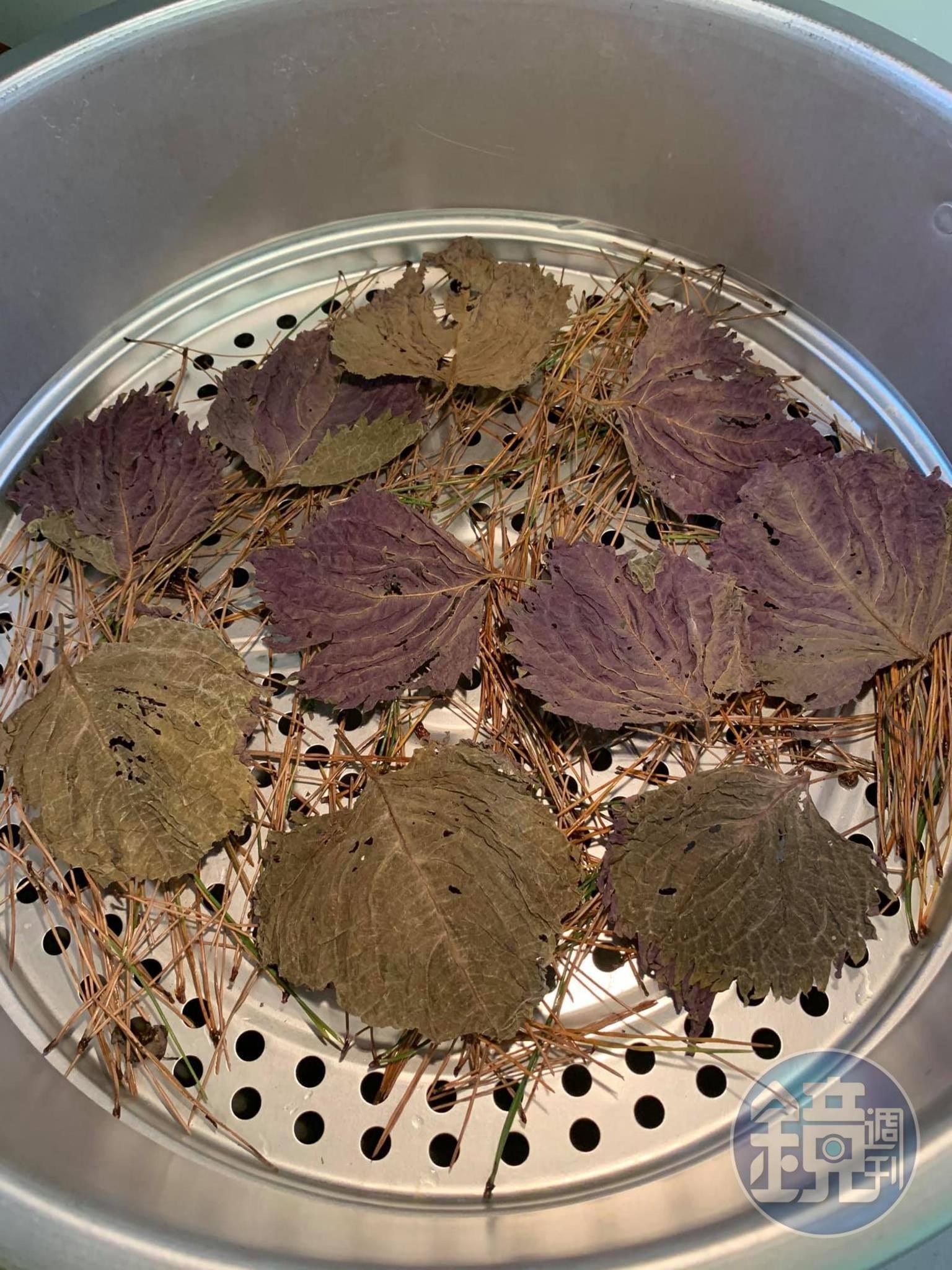 再鋪上乾燥紫蘇葉。